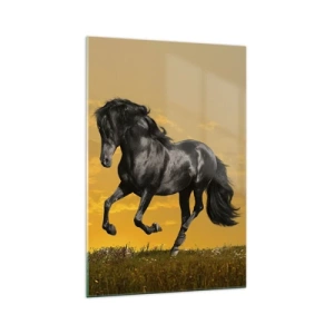 Impression sur verre - Image sur verre - Un cheval noir galope sur fond de coucher de soleil doré. - 70x100cm - Beau, libre et sauvage - Décoration murale moderne pour le salon et la chambre ARTTOR