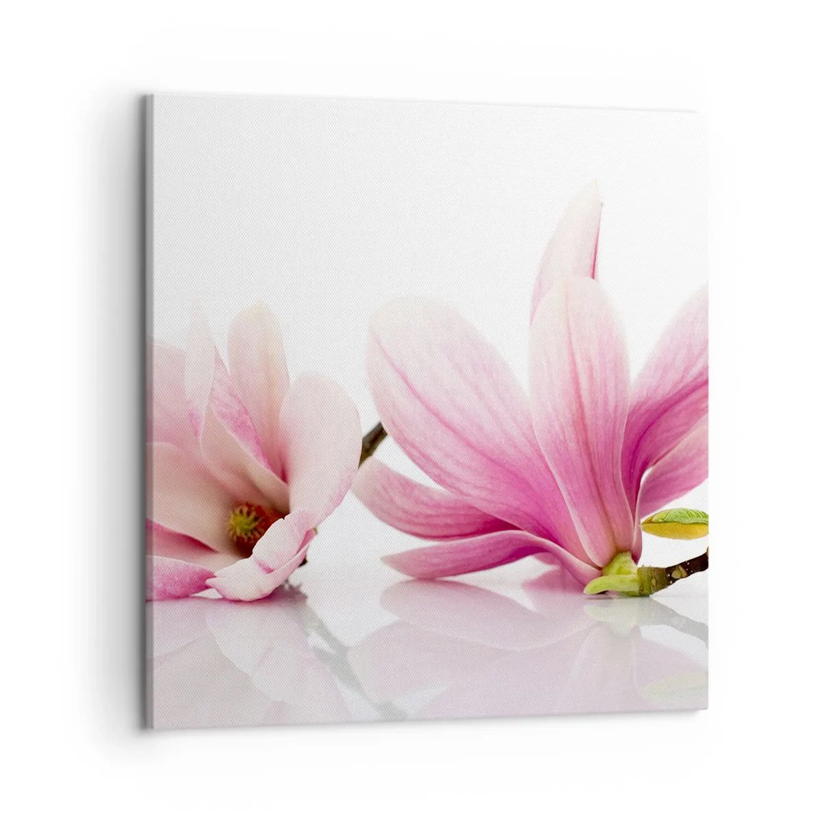 Impression sur toile - Image sur toile - Délicat comme une brise de printemps - 50x50 cm