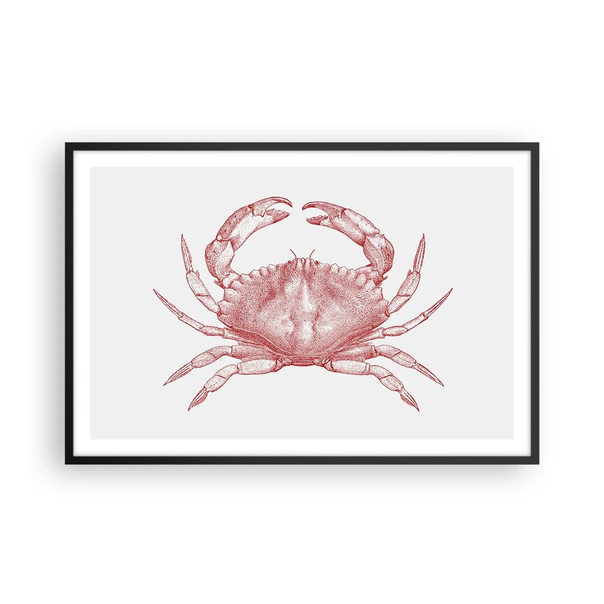 Affiche dans un cadre noir - Poster - Le crabe des crabes - 91x61 cm