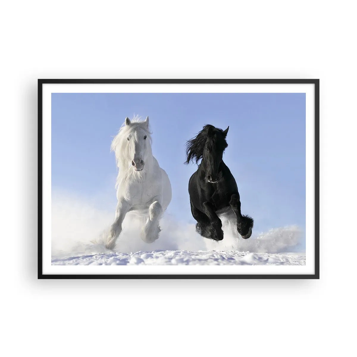Affiche dans un cadre noir - Poster - Un cheval blanc et un cheval noir galopant dans la neige - 100x70cm - Galop noir et blanc - Décoration murale moderne pour le salon et la chambre ARTTOR