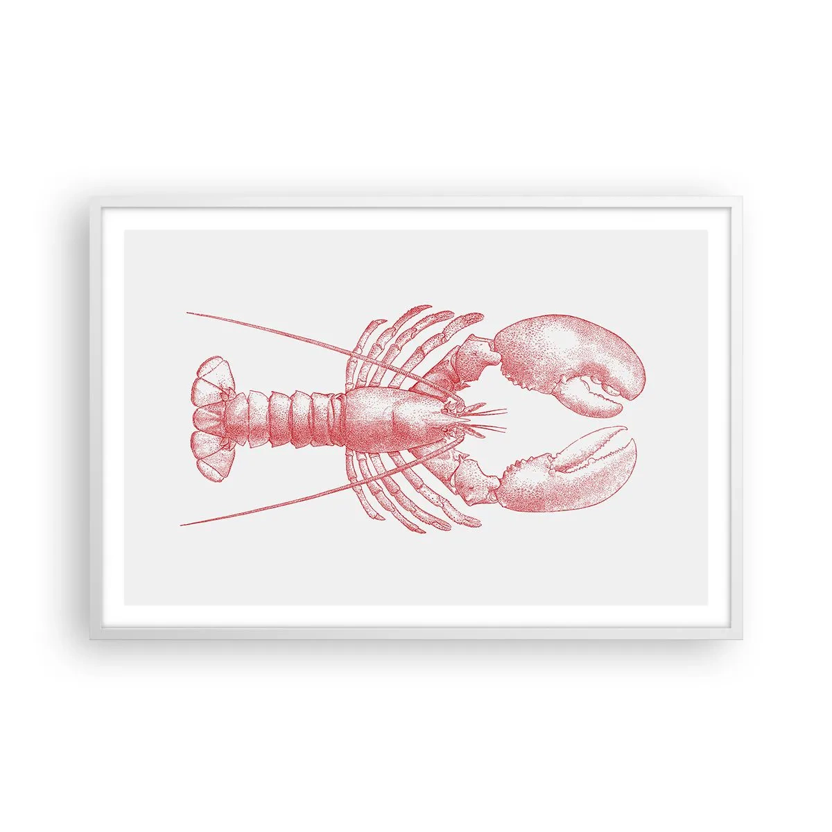 Affiche dans un cadre blanc - Poster - Un homard digne d'Homère - 91x61 cm