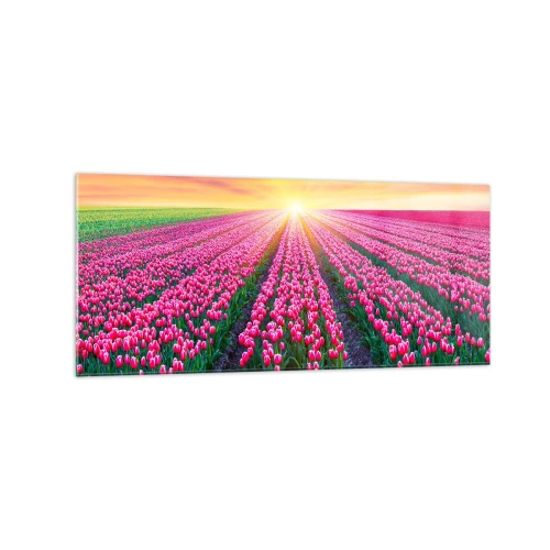 Impression sur verre - Image sur verre - Un champ de tulipes au coucher du soleil - 120x50cm - Ferme de la beauté - Décoration murale moderne pour le salon et la chambre ARTTOR