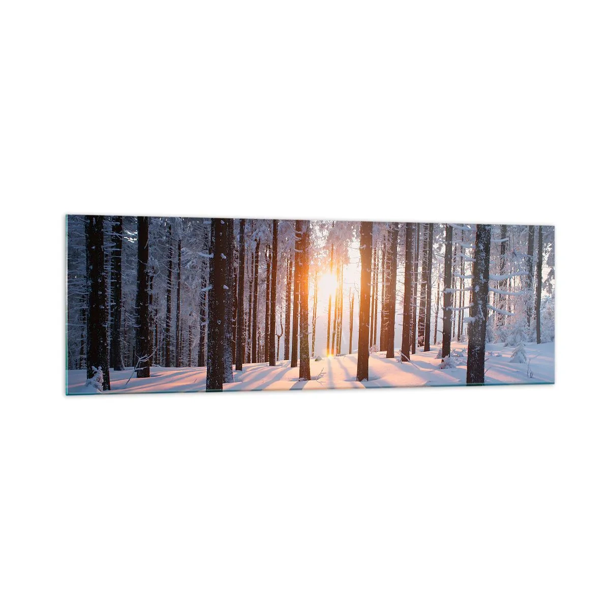 Impression sur verre - Image sur verre - Forêt d'hiver illuminée par les rayons du soleil - 160x50cm - Clairement en noir et blanc - Décoration murale moderne pour le salon et la chambre ARTTOR