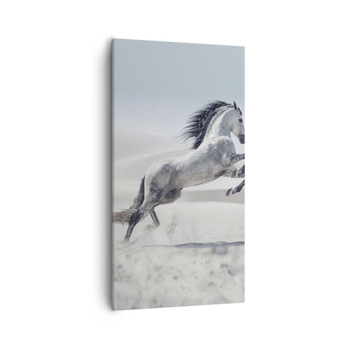 Impression sur toile - Image sur toile - Prince arabe - 55x100 cm