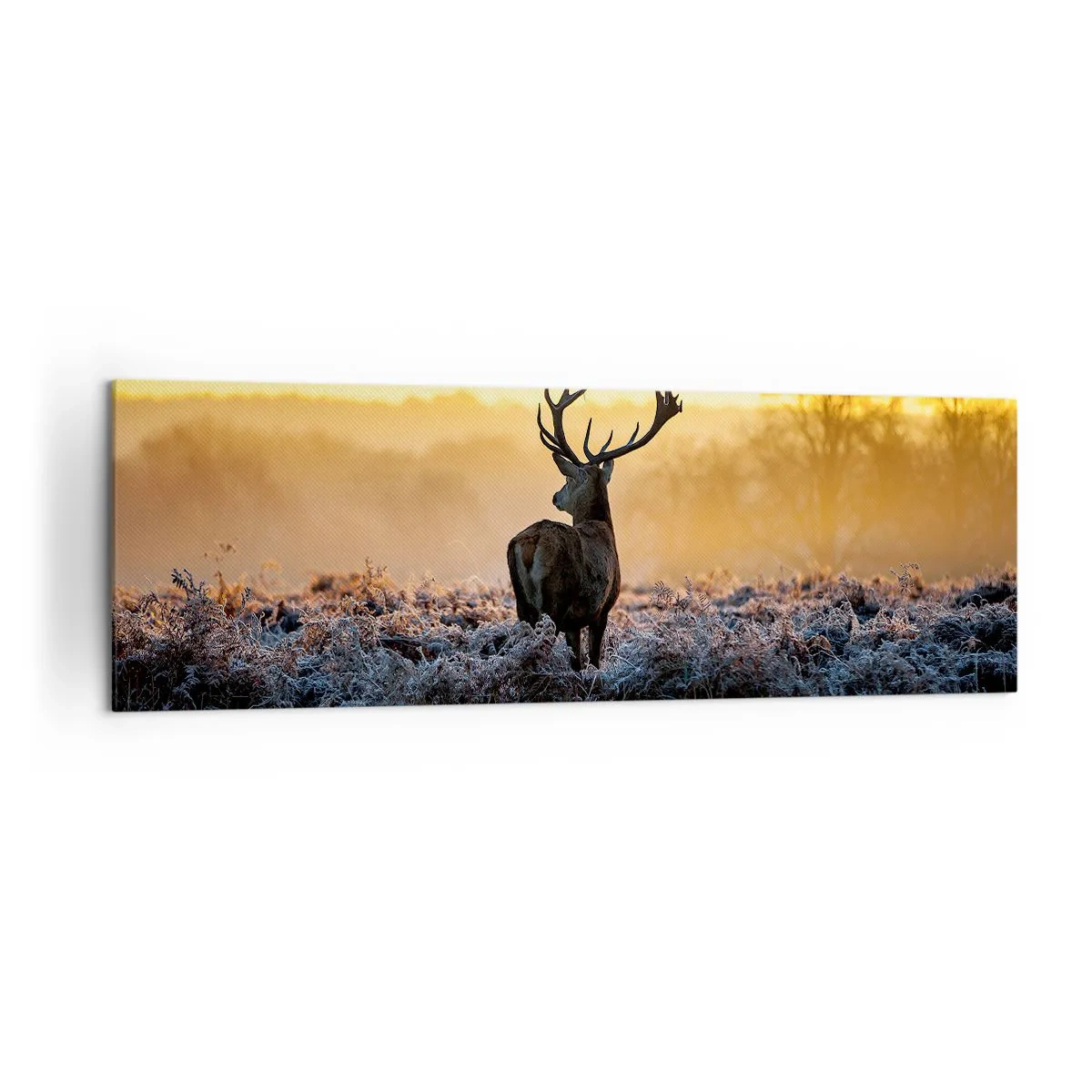 Impression sur toile - Image sur toile - Un cerf dans une clairière gelée au lever du soleil - 160x50cm - Couronné pour sa succession - Décoration murale moderne pour le salon et la chambre ARTTOR
