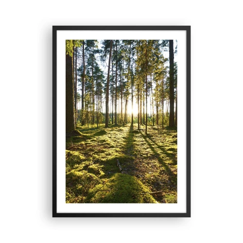 Affiche dans un cadre noir - Poster - Forêt verte le matin avec les rayons du soleil levant - 50x70cm - … Derrière les sept forêts - Décoration murale moderne pour le salon et la chambre ARTTOR