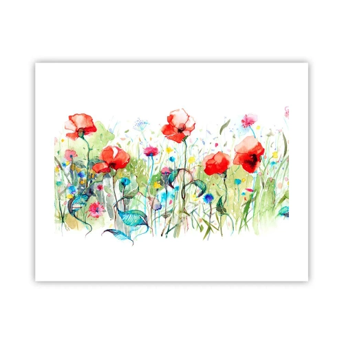 Affiche - Poster - Prairie de fleurs en mai - 50x40 cm