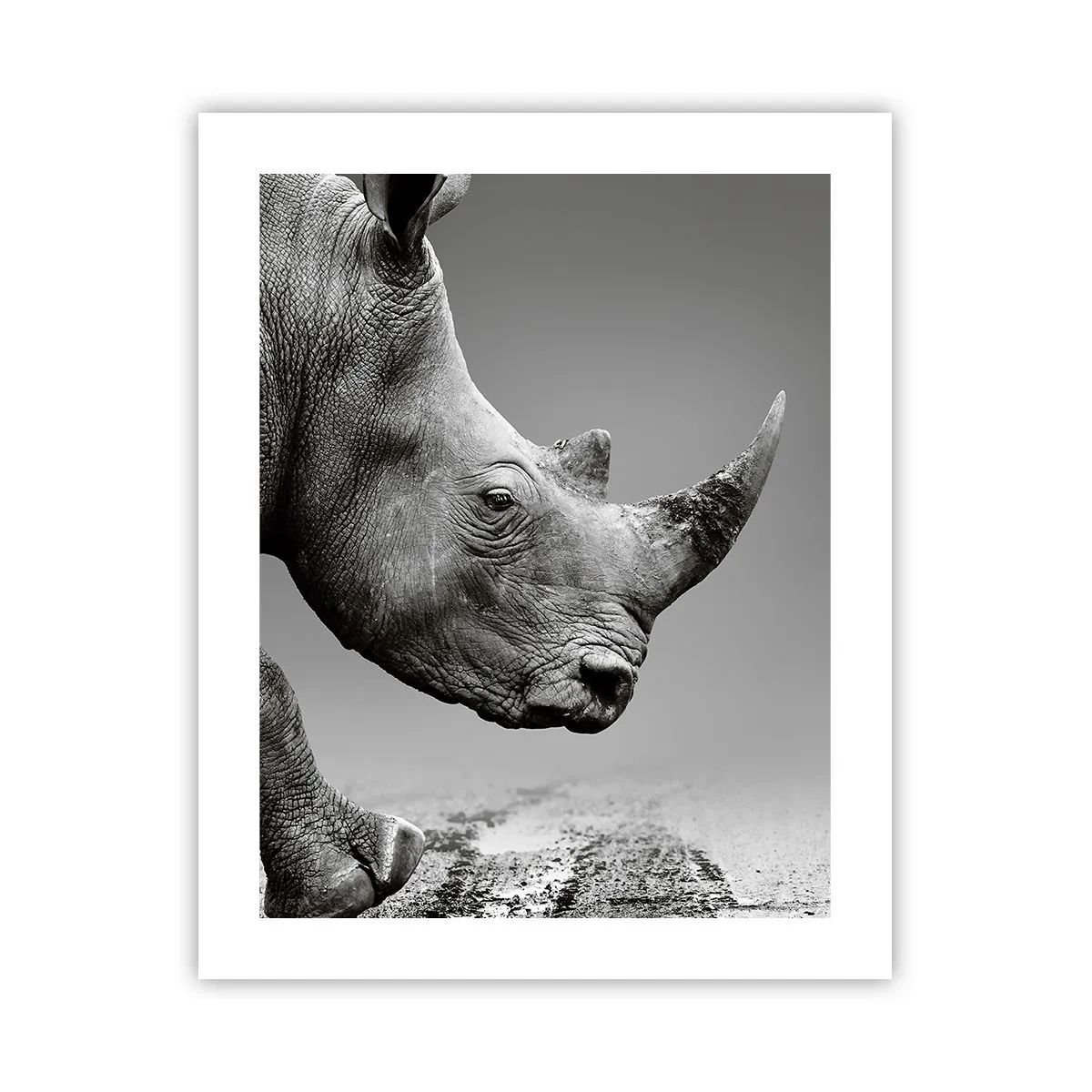 Affiche - Poster - Force inarrêtable - 40x50 cm