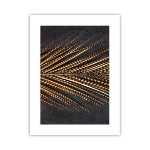Affiche - Poster - L'or des tropiques - 30x40 cm