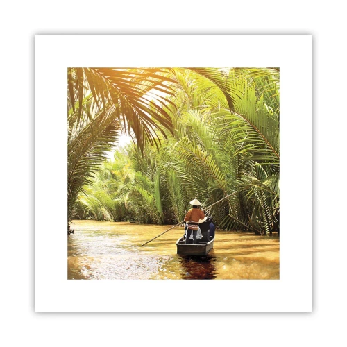 Affiche - Poster - Ravin de palmier - 30x30 cm