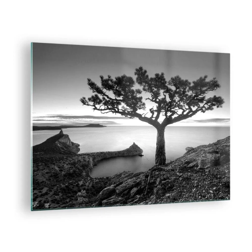 Impression sur verre - Image sur verre - Un arbre sur une falaise surplombant la baie - 70x50cm - Paix jusqu'à l'horizon - Décoration murale moderne pour le salon et la chambre ARTTOR