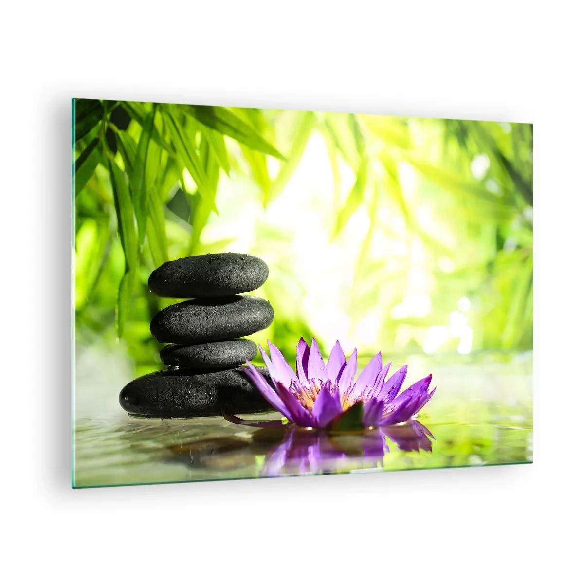 Impression sur verre - Image sur verre - Fleur de lotus violette avec des pierres zen sur fond vert - 70x50cm - Dans un buisson de bambou - Décoration murale moderne pour le salon et la chambre ARTTOR