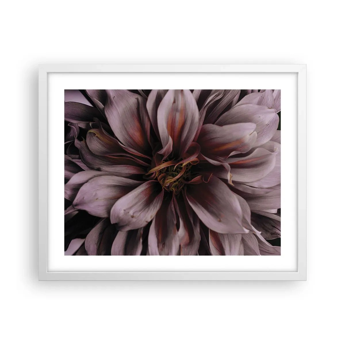 Affiche dans un cadre blanc - Poster - Un coeur fleuri - 50x40 cm