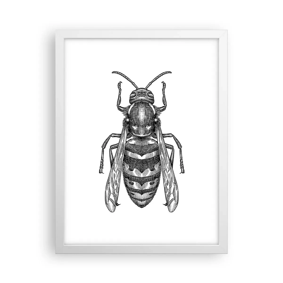 Affiche dans un cadre blanc - Poster - D'une planète d'insectes - 30x40 cm