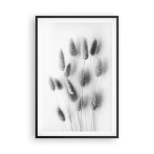 Affiche dans un cadre noir - Poster - Son herbe duveteuse - 61x91 cm