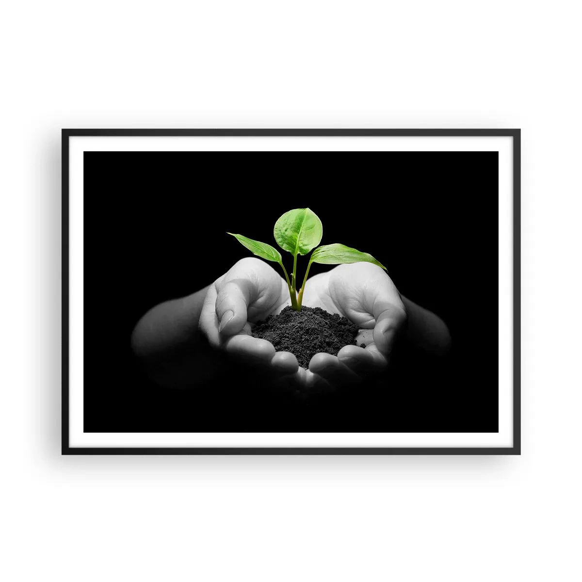 Affiche dans un cadre noir - Poster - Mains tenant une plante verte sur fond noir - 100x70cm - J'aime la nature, je la protège - Décoration murale moderne pour le salon et la chambre ARTTOR