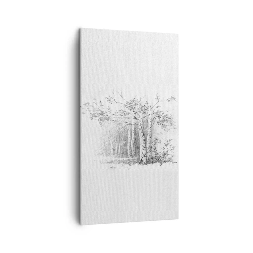Impression sur toile - Image sur toile - Lumière d'une forêt de bouleaux - 45x80 cm