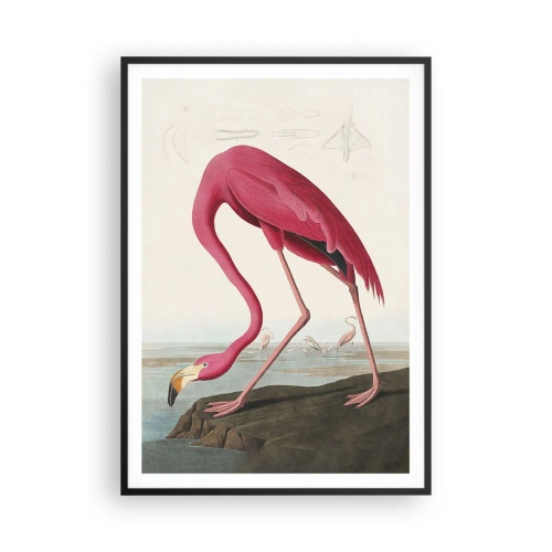 Affiche dans un cadre noir - Poster - Création étonnante - 70x100 cm