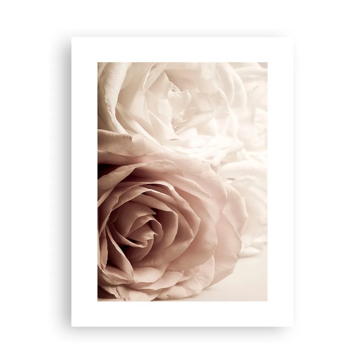 Affiche - Poster - Au coeur d'ue la rose - 30x40 cm