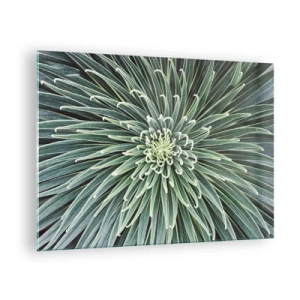 Impression sur verre - Image sur verre - Rosette symétrique de feuilles vertes en macrophotographie - 70x50cm - Naissance d'une étoile - Décoration murale moderne pour le salon et la chambre ARTTOR
