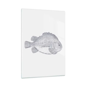Impression sur verre - Image sur verre - Gravure détaillée d'un poisson sur fond blanc dans un style nature - 50x70cm - Pour l'album du naturaliste - Décoration murale moderne pour le salon et la chambre ARTTOR