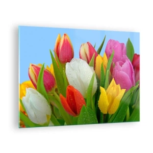 Impression sur verre - Image sur verre - Tulipes colorées couvertes de gouttes de rosée sur un fond bleu - 70x50cm - Un arc-en-ciel fleuri en gouttes de rosée - Décoration murale moderne pour le salon et la chambre ARTTOR