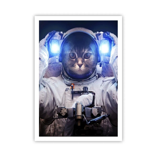 Affiche - Poster - Houston, vous avez un problème - 70x100 cm