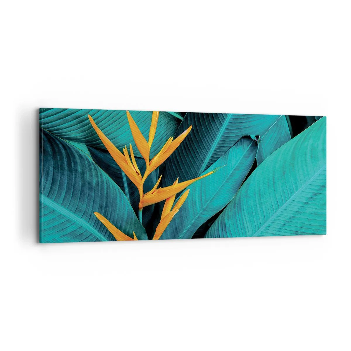 Impression sur toile - Image sur toile - Une fleur exotique sur fond de feuilles de bananier aux tons turquoise. - 120x50cm - Fleur d'Eden - Décoration murale moderne pour le salon et la chambre ARTTOR