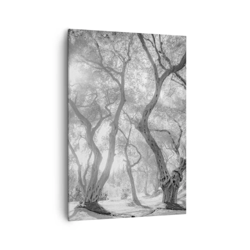 Impression sur toile - Image sur toile - Vue en noir et blanc d'arbres dans une oliveraie avec des rayons de soleil - 70x100cm - Dans l'oliveraie - Décoration murale moderne pour le salon et la chambre ARTTOR