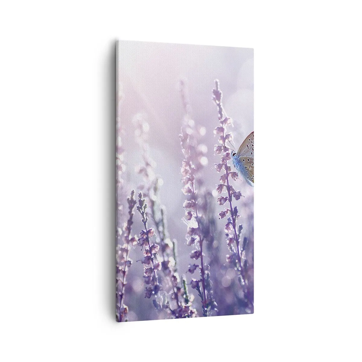 Impression sur toile - Image sur toile - Baiser de papillon - 55x100 cm