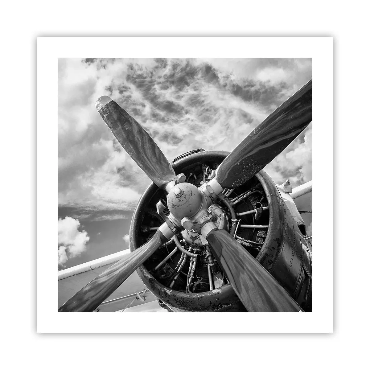 Affiche - Poster - Dompteur de ciel - 50x50 cm
