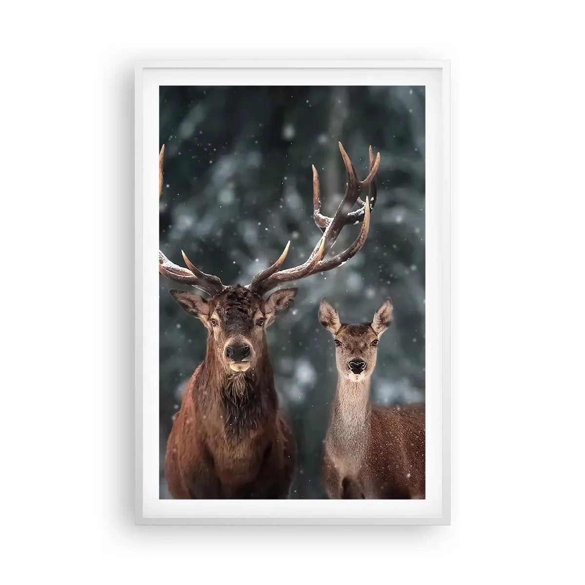 Affiche dans un cadre blanc - Poster - Le roi de la forêt avec sa femme - 61x91 cm