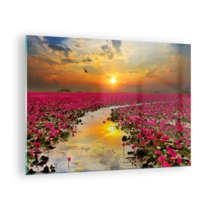 Impression sur verre - Image sur verre - Nénuphars roses sur un lac au coucher du soleil - 70x50cm - La vie secrète du lac - Décoration murale moderne pour le salon et la chambre ARTTOR