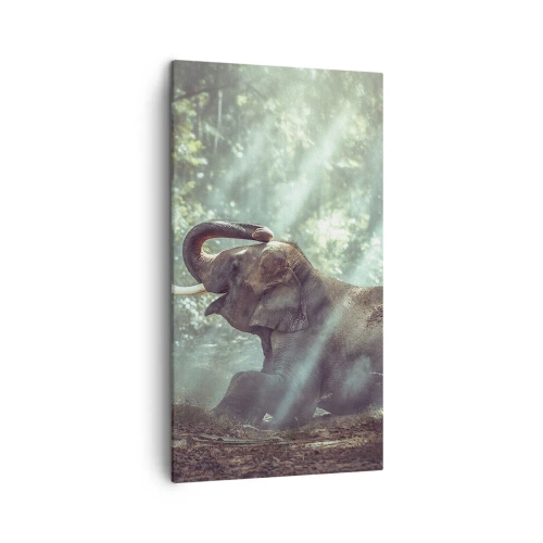 Impression sur toile - Image sur toile - Et écoute ça… - 45x80 cm