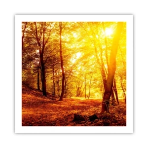 Affiche - Poster - Vers la clairière dorée - 60x60 cm