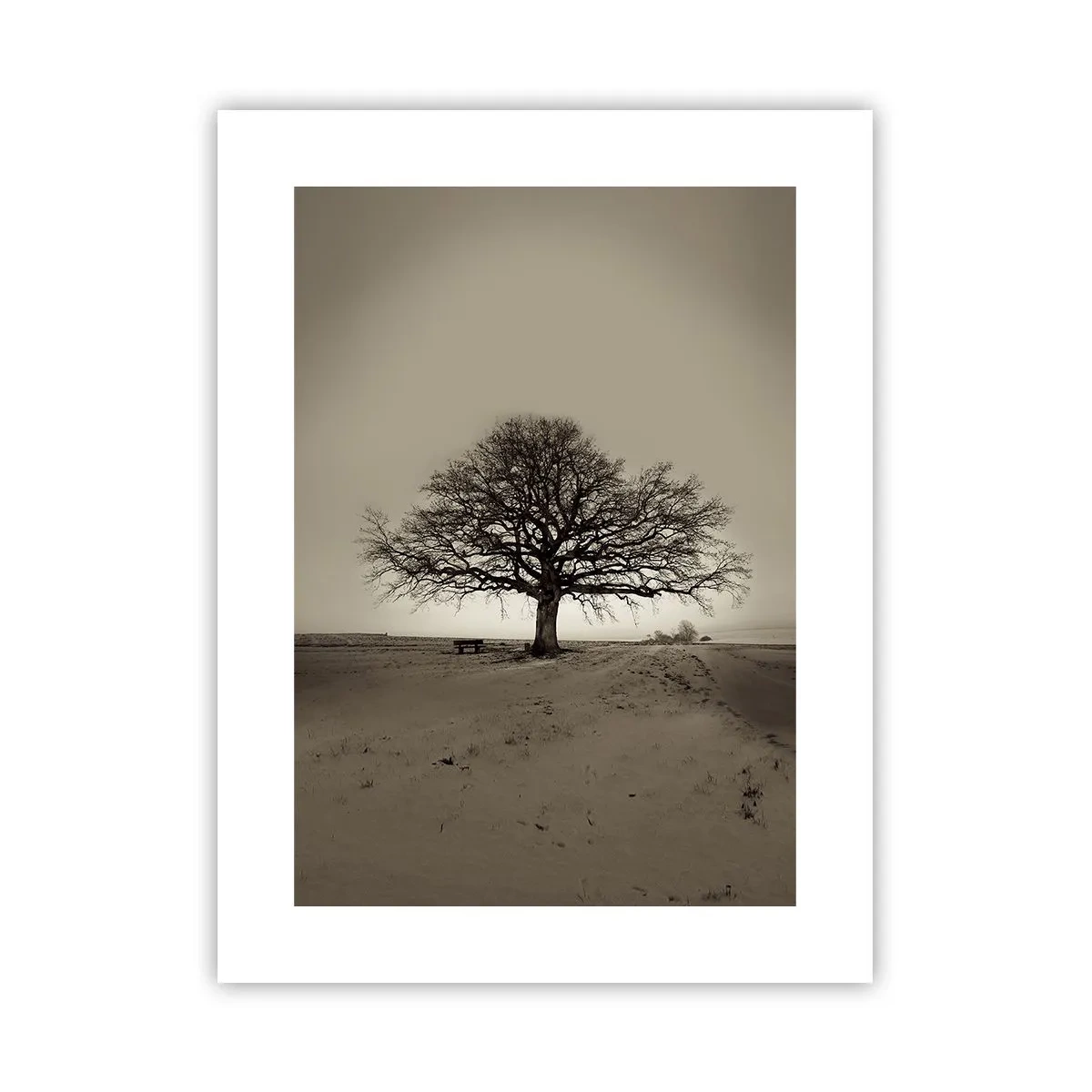 Affiche - Poster - D'ici à l'éternité - 30x40 cm