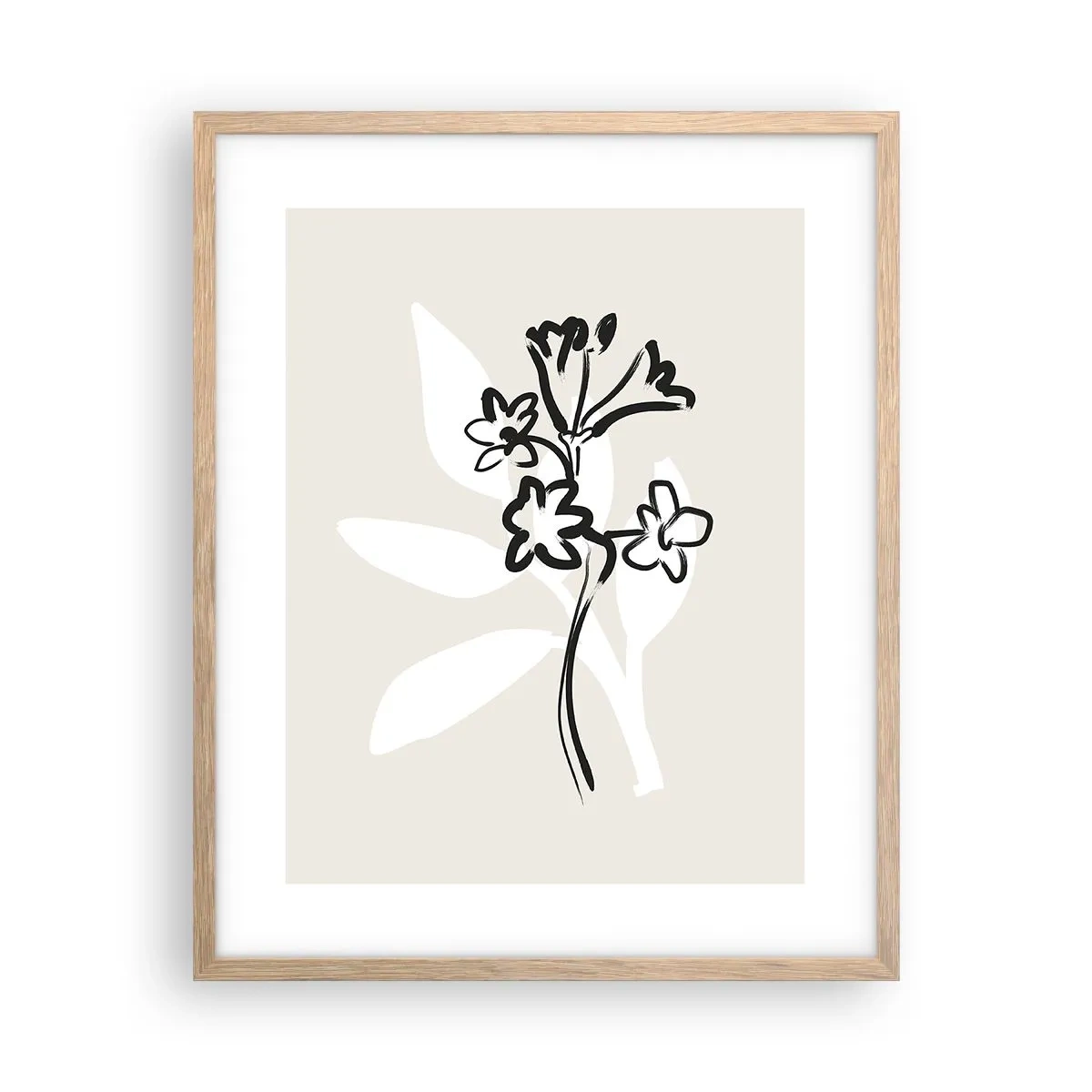 Affiche dans un chêne clair - Poster - Esquisse pour l'herbier - 40x50 cm