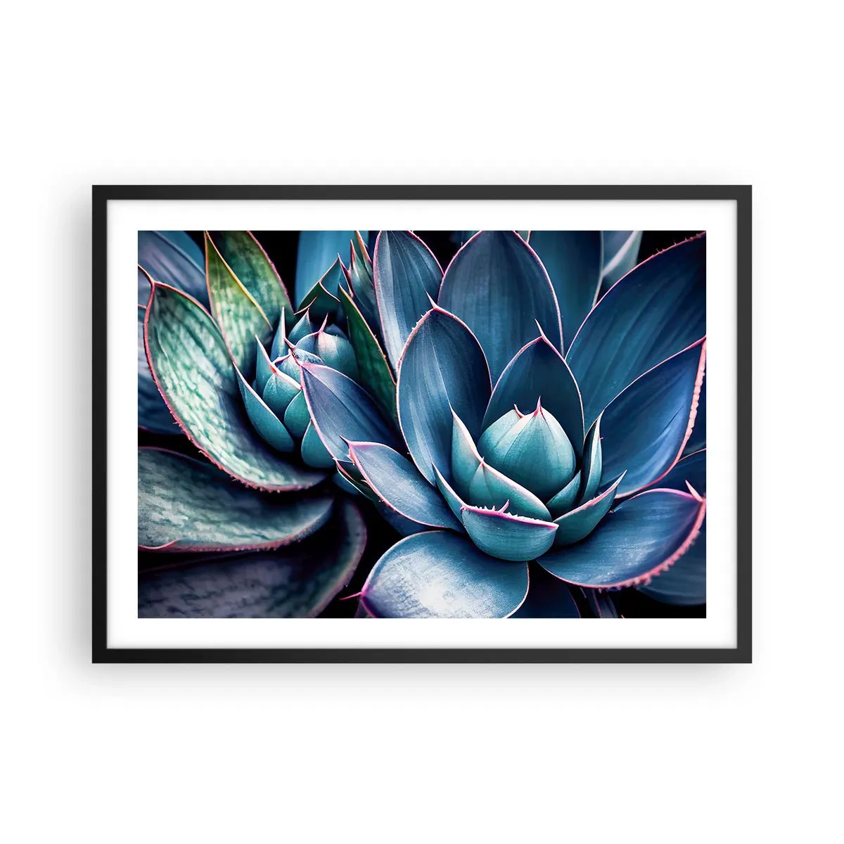 Affiche dans un cadre noir - Poster - Agave dans des tons de bleu et de vert avec des accents roses - 70x50cm - Force vital - Décoration murale moderne pour le salon et la chambre ARTTOR