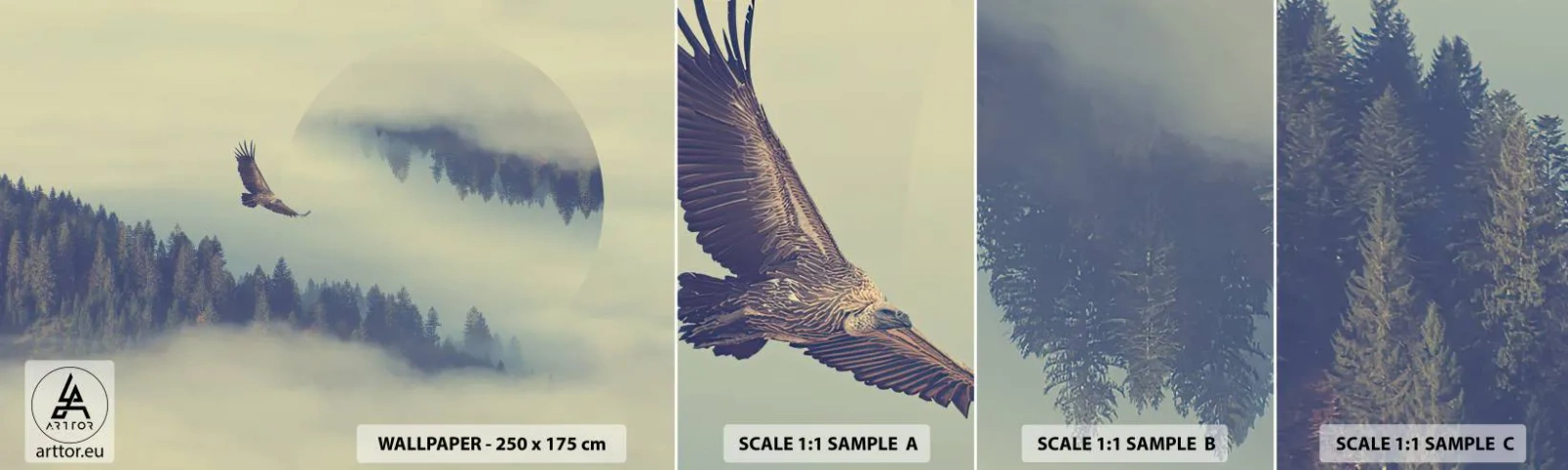 Échantillon de Papier Peint Autocollant Deluxe Sticker - J'ai vu l'ombre d'un aigle - Aigle, Oiseau, Forêt - 100x30 cm