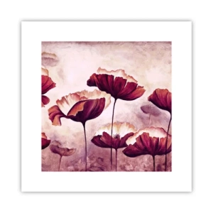 Affiche - Poster - Pétale rouge et blanc - 30x30 cm