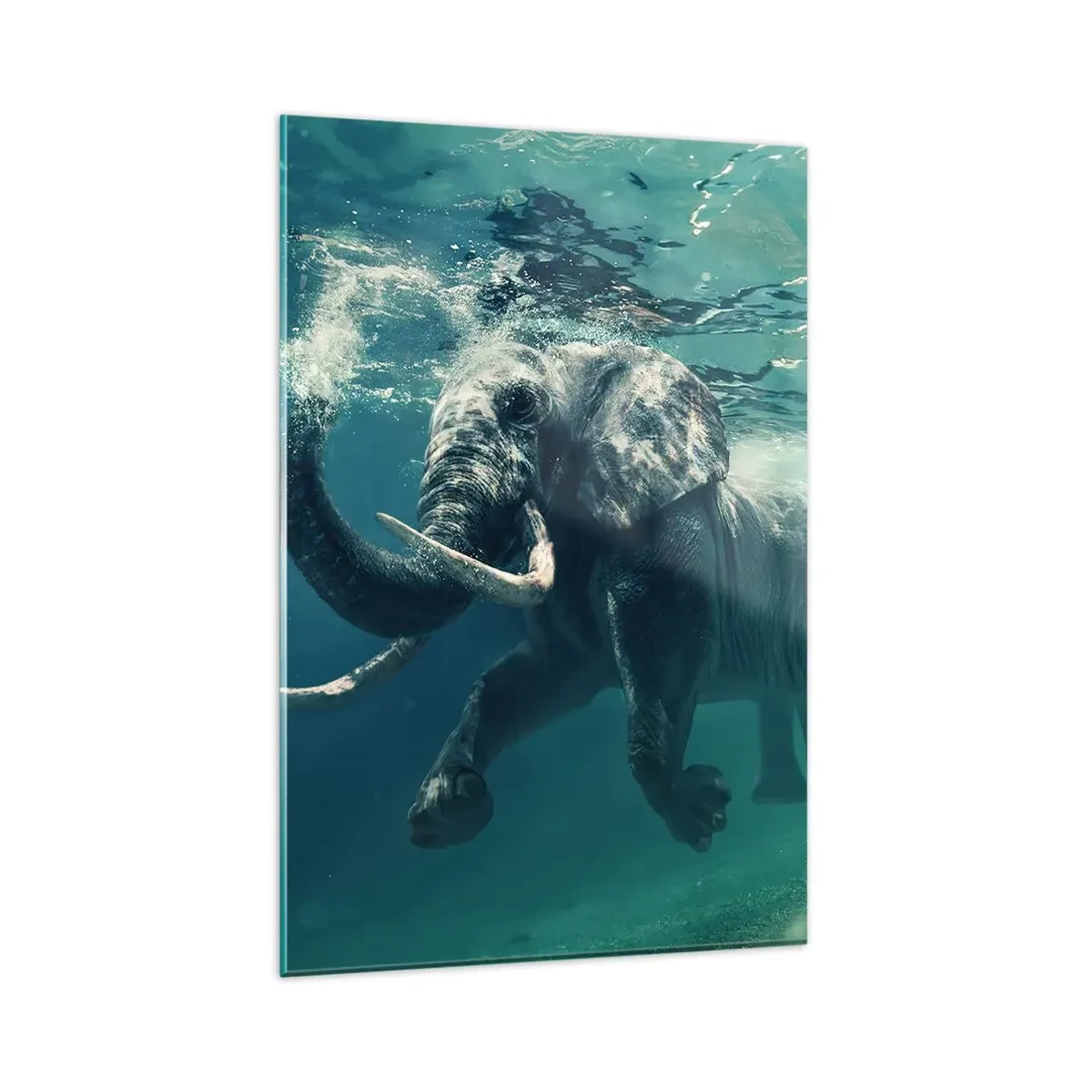 Impression sur verre - Image sur verre - Un éléphant nageant sous l'eau dans les profondeurs turquoise - 80x120cm - Tout le monde aime nager - Décoration murale moderne pour le salon et la chambre ARTTOR