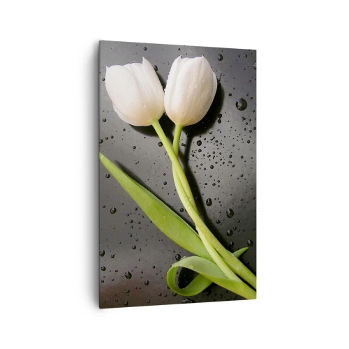 Impression sur toile - Image sur toile - Tulipes blanches sur fond noir avec des gouttes d'eau - 80x120cm - Tissage de printemps - Décoration murale moderne pour le salon et la chambre ARTTOR