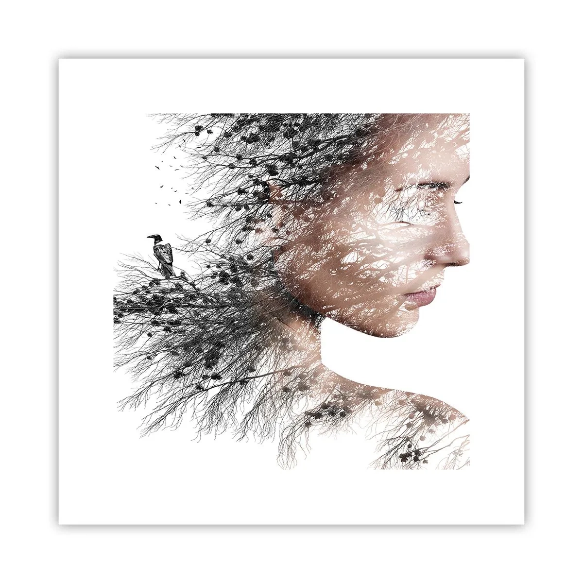 Affiche - Poster - L'âme de la forêt - 30x30 cm