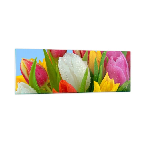 Impression sur verre - Image sur verre - Un arc-en-ciel fleuri en gouttes de rosée - 90x30 cm
