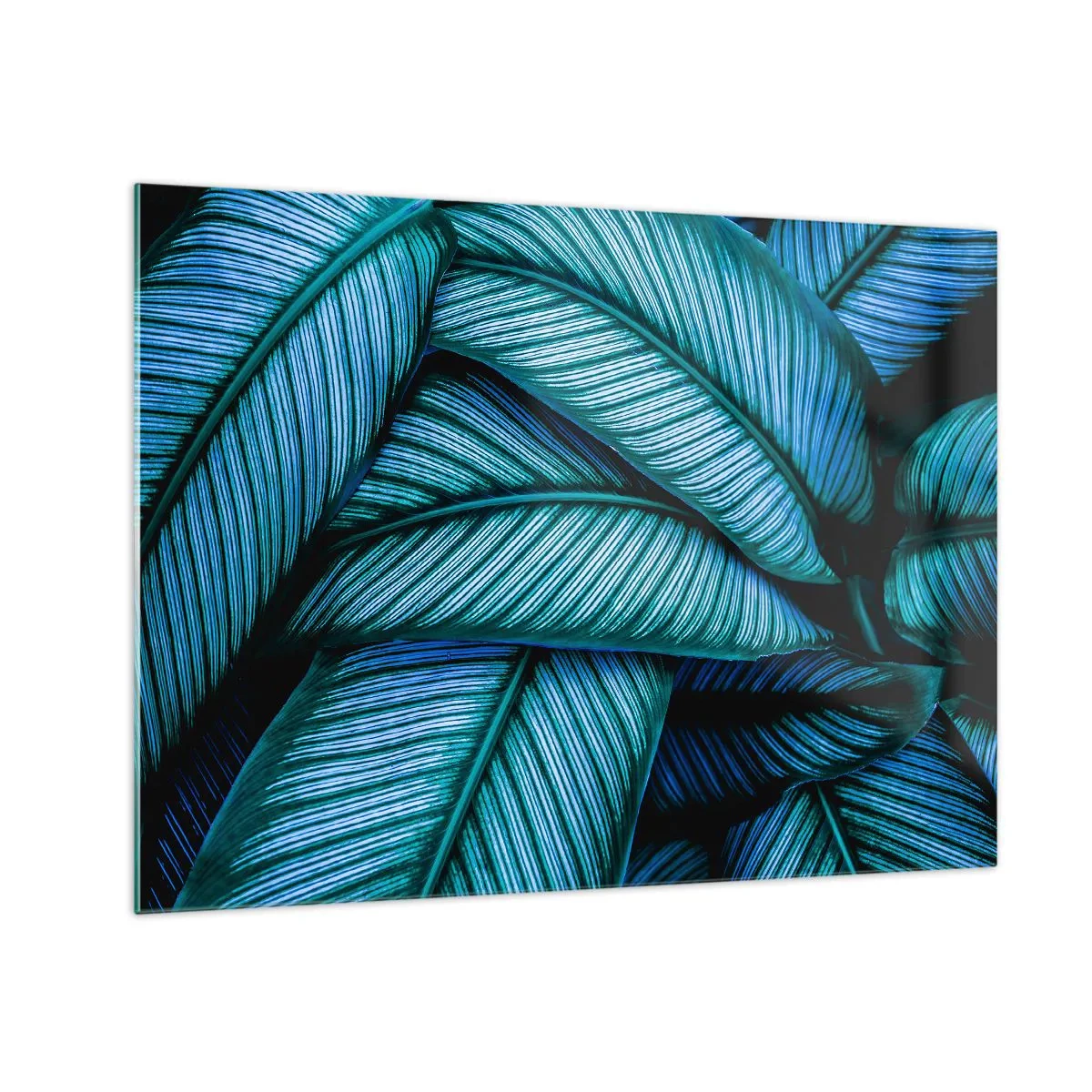 Impression sur verre - Image sur verre - Gros plan de feuilles turquoise à la texture intense. - 70x50cm - Lignes de vie - Décoration murale moderne pour le salon et la chambre ARTTOR