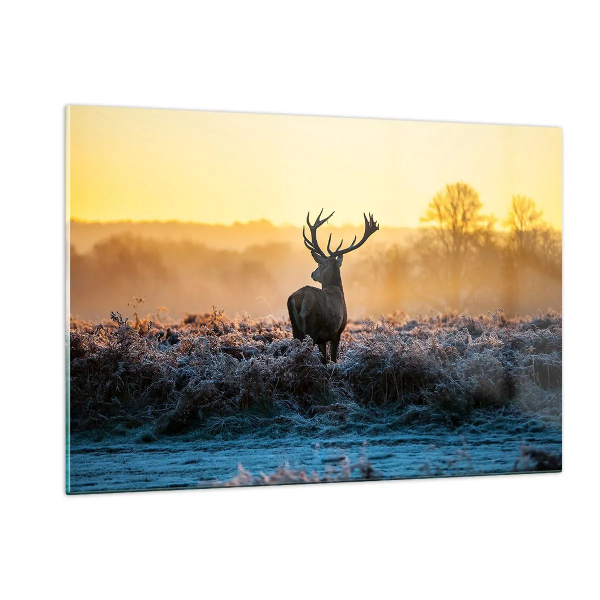 Impression sur verre - Image sur verre - Cerf par un matin glacial avec le lever du soleil en arrière-plan - 120x80cm - Couronné pour sa succession - Décoration murale moderne pour le salon et la chambre ARTTOR