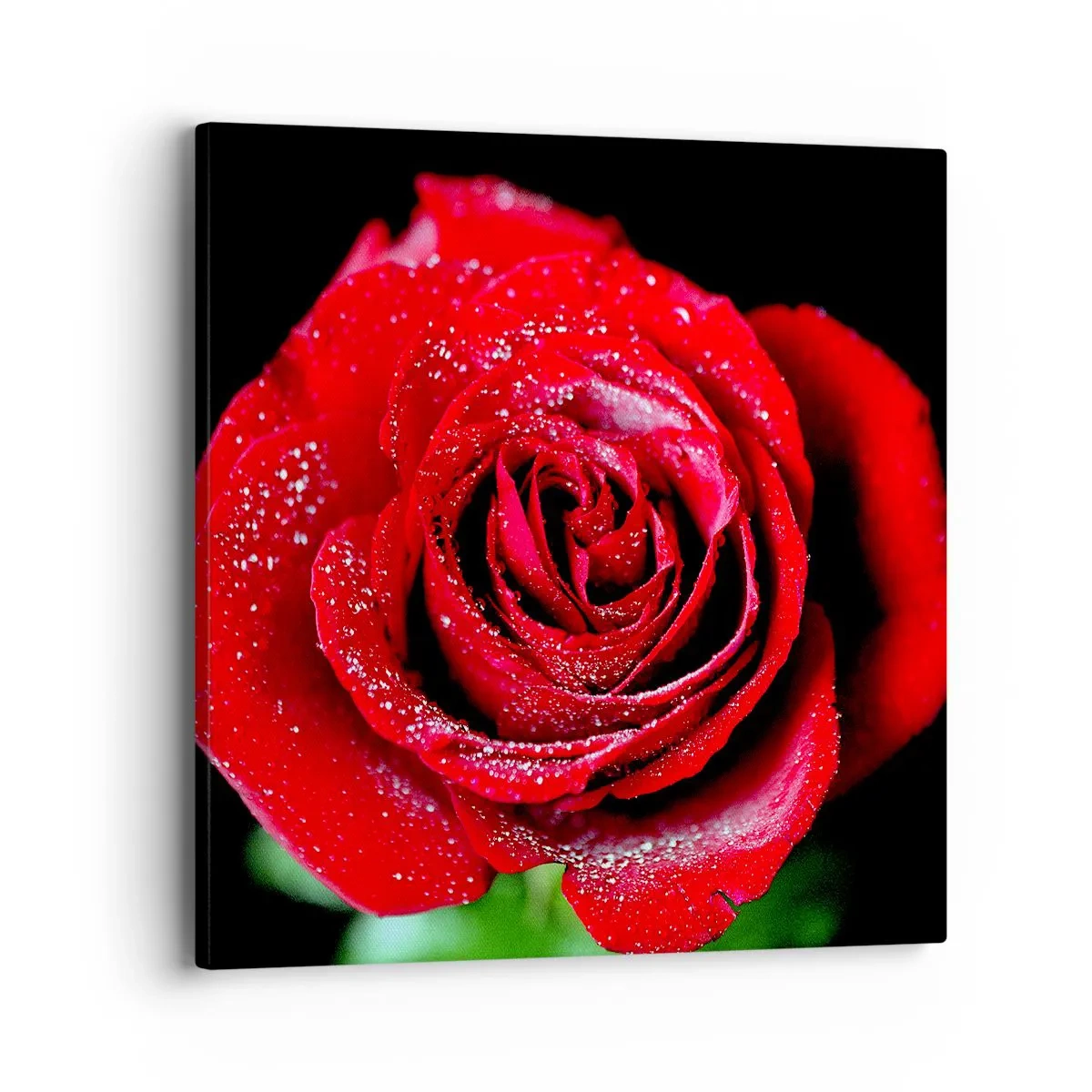 Impression sur toile - Image sur toile - C'est ça l'amour - 40x40 cm