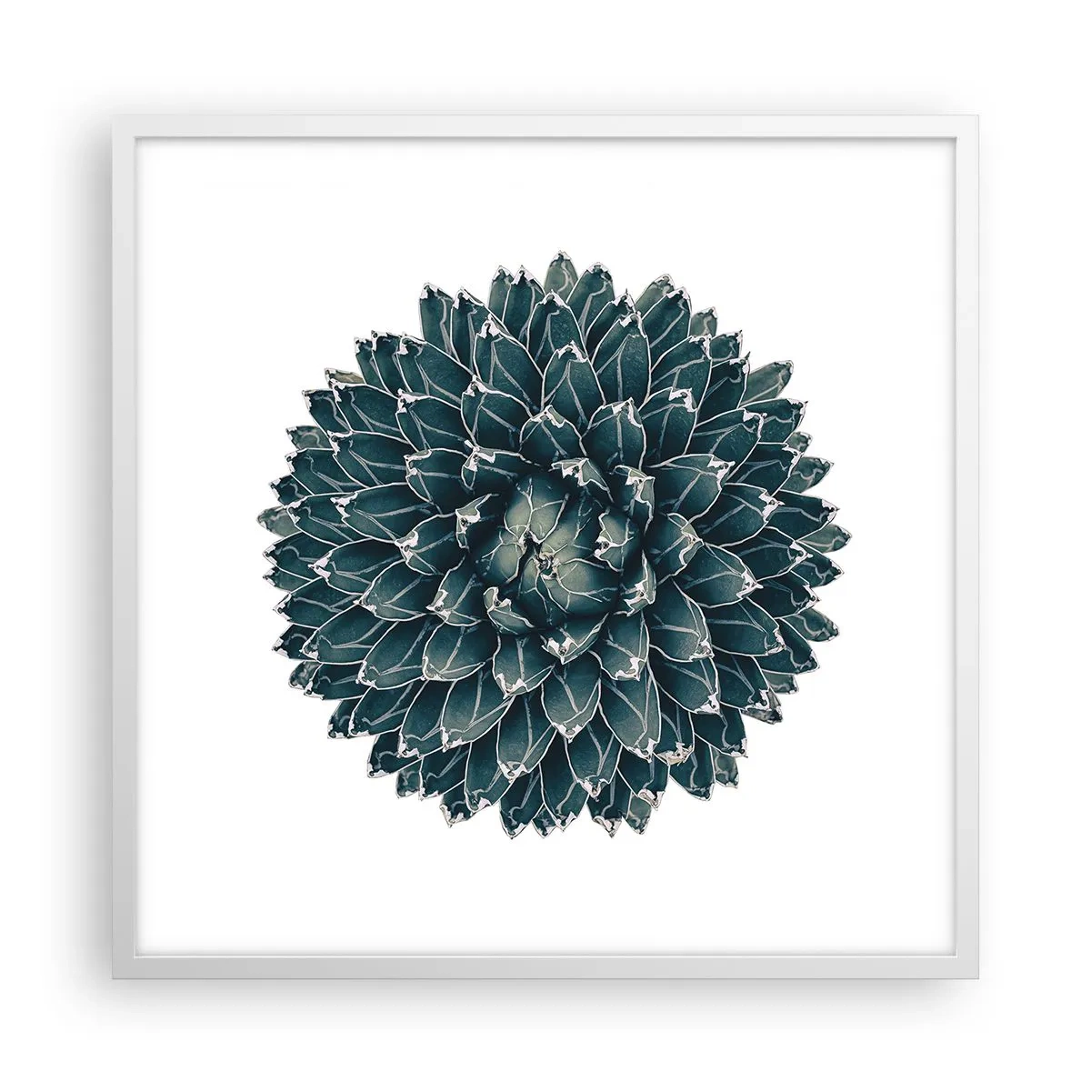 Affiche dans un cadre blanc - Poster - Étoile du désert - 60x60 cm