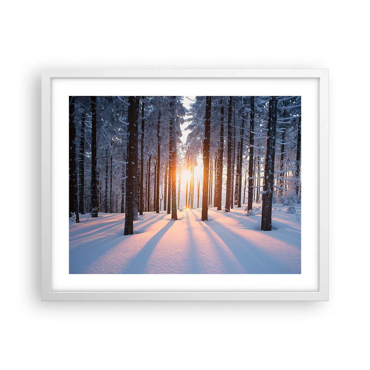 Affiche dans un cadre blanc - Poster - Clairement en noir et blanc - 50x40 cm