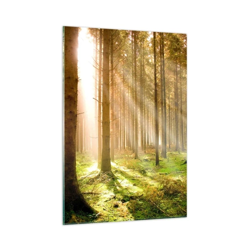 Impression sur verre - Image sur verre - Les rayons du soleil pénètrent à travers les arbres de la forêt - 50x70cm - Les elfes vont bientôt apparaître - Décoration murale moderne pour le salon et la chambre ARTTOR